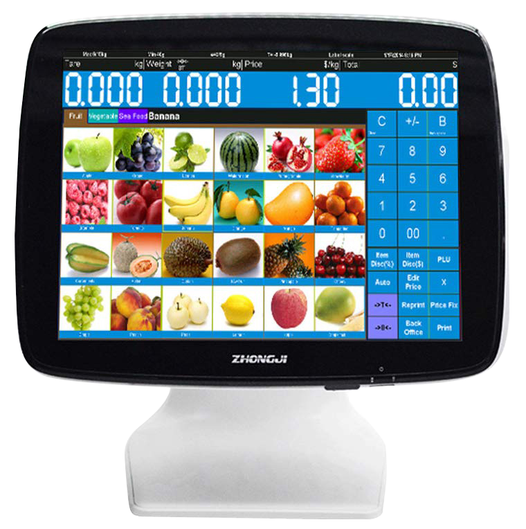 ANYPAY CELERON 3455 N-4000 DOKUNMATİK POS