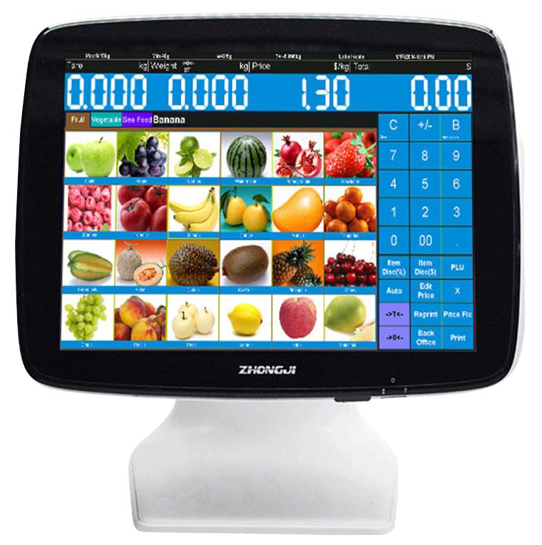 ANYPAY CELERON 3455 N-4000 DOKUNMATİK POS