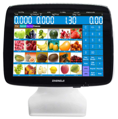 ANYPAY CELERON 3455 N-4000 DOKUNMATİK POS